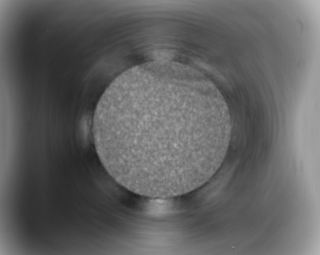 X0000088130240200706111413