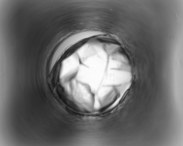 X0000088130242200706111412