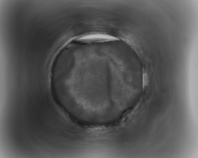 X0000088130243200706111412