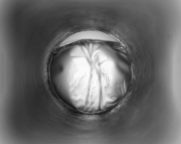 X0000088130245200706111412