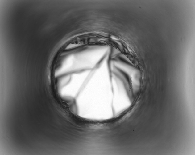 X0000088130246200706111412