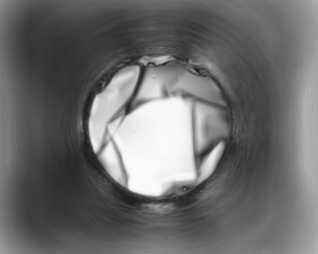 X0000088130251200706111412