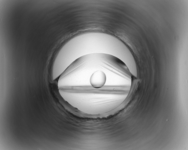 X0000088130252200706111412