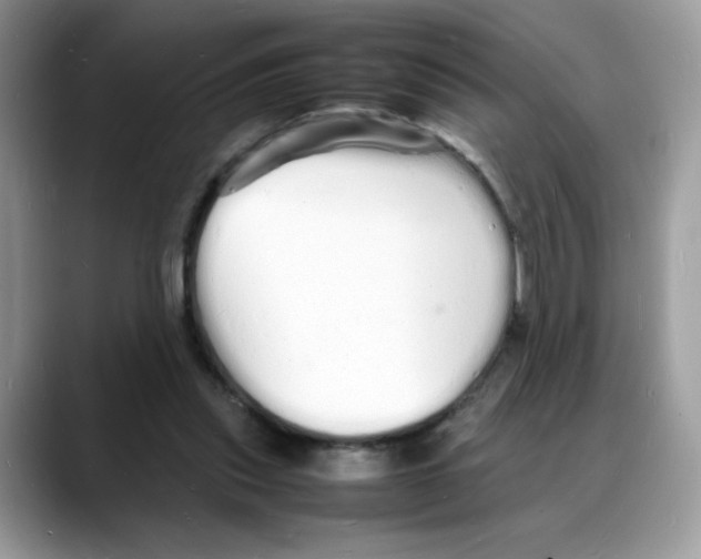 X0000088130253200706111412