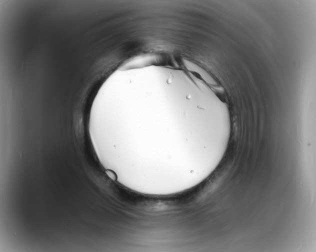 X0000088130254200706111412