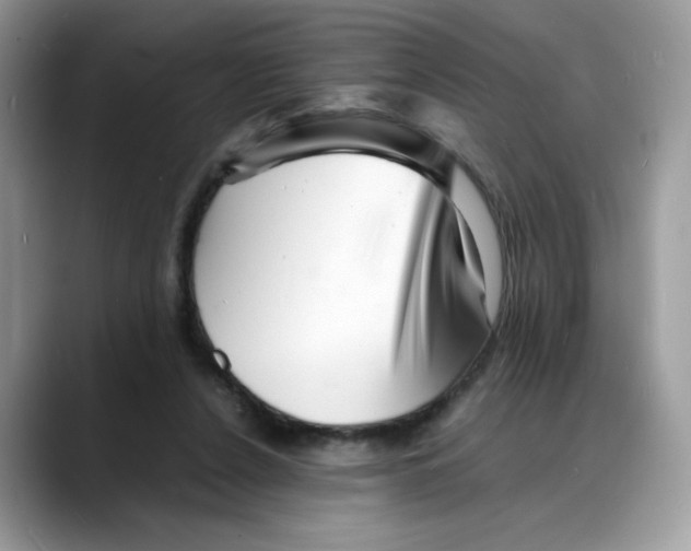 X0000088130256200706111412