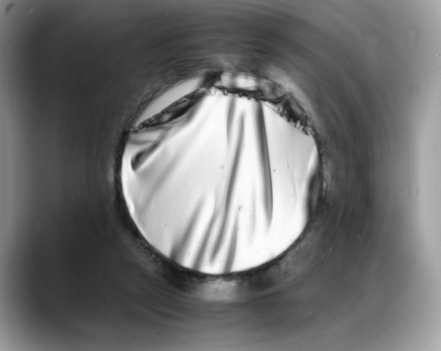 X0000088130257200706111412