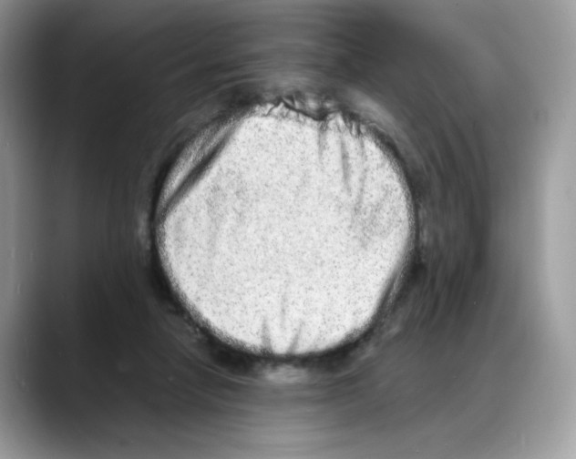 X0000088130258200706111412