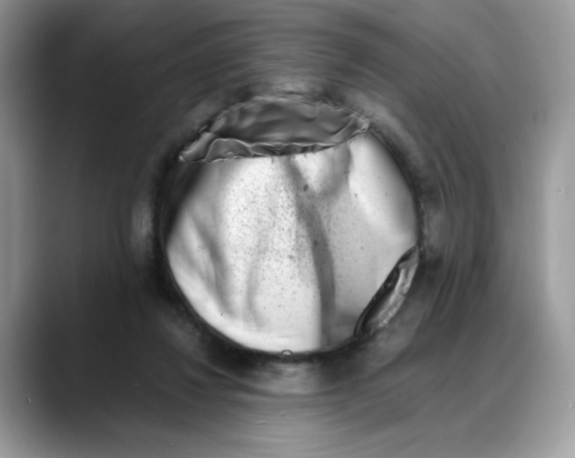 X0000088130260200706111412