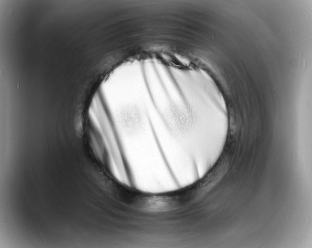 X0000088130261200706111412