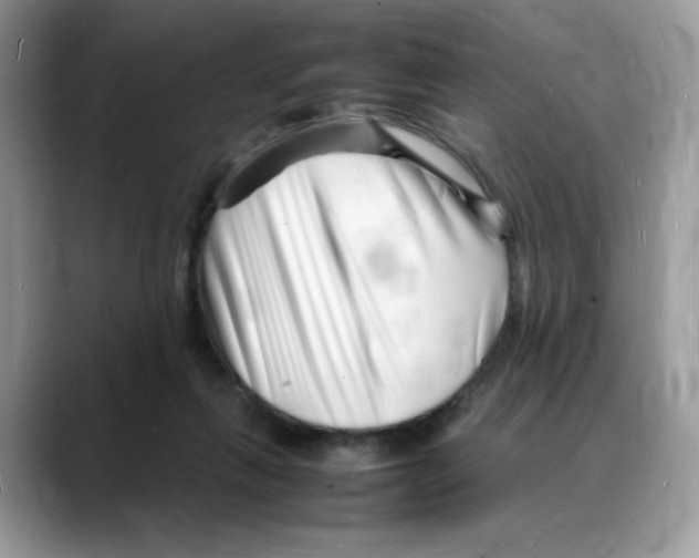 X0000088130263200706111412