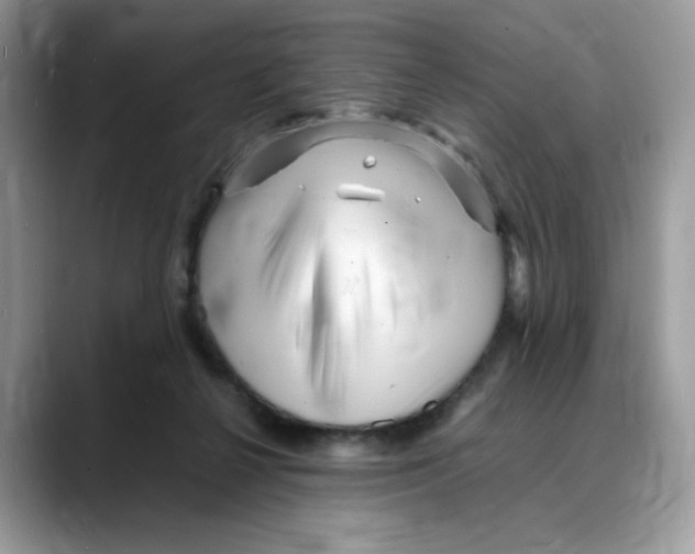 X0000088130264200706111412