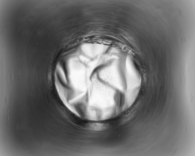 X0000088130265200706111412