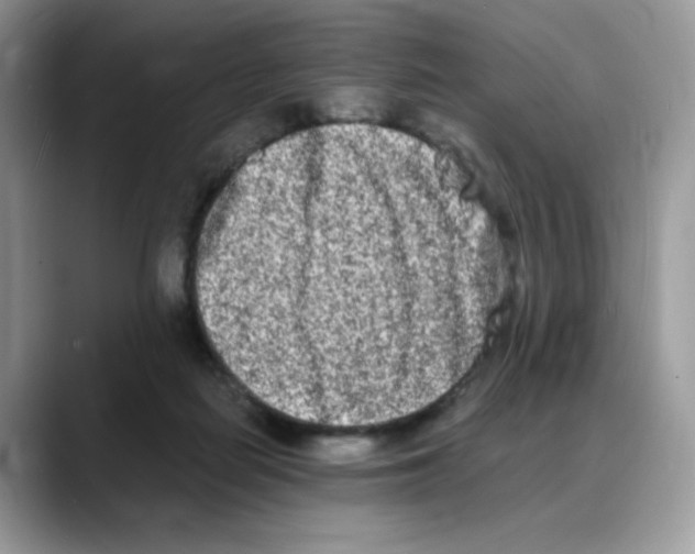 X0000088130266200706111412