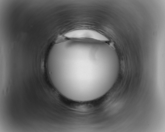 X0000088130267200706111412