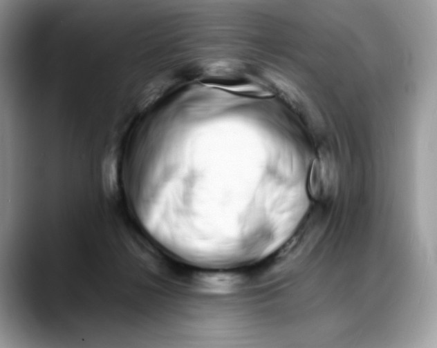 X0000088130268200706111412