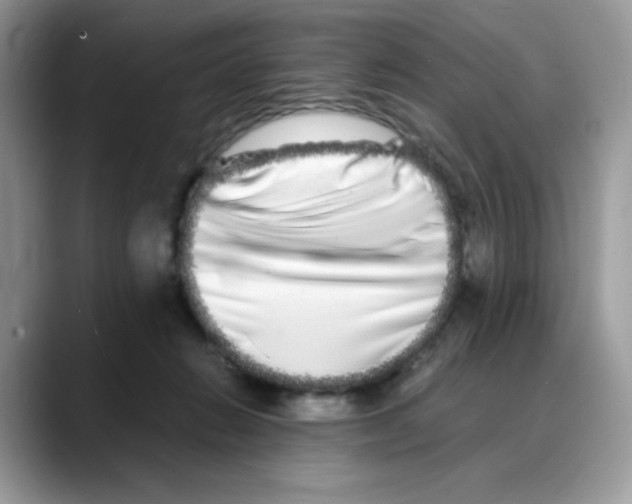 X0000088130270200706111412