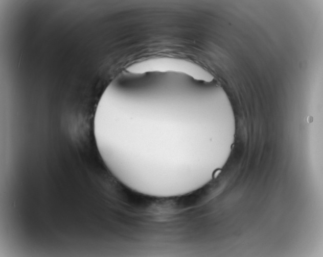 X0000088130271200706111412