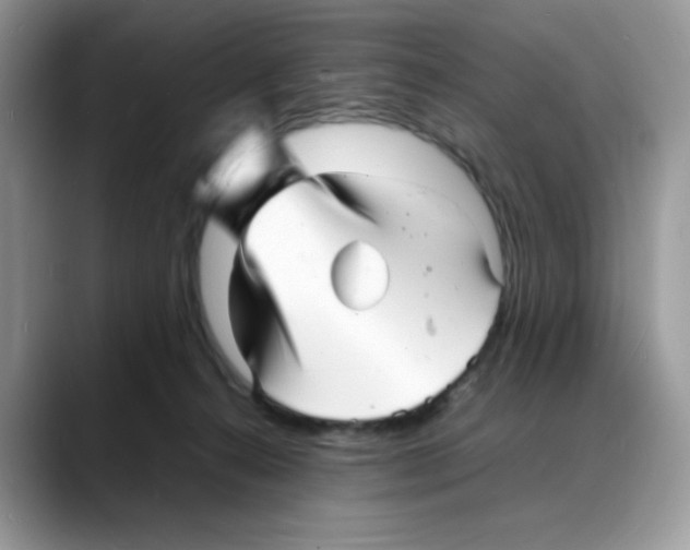 X0000088130272200706111412