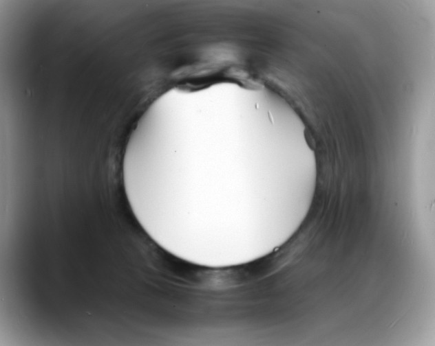 X0000088130273200706111413