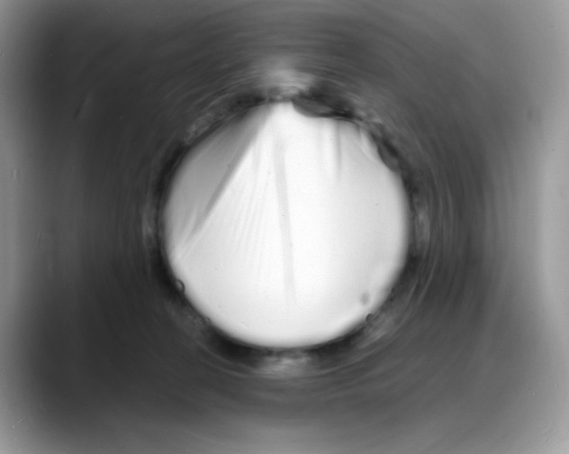 X0000088130274200706111413