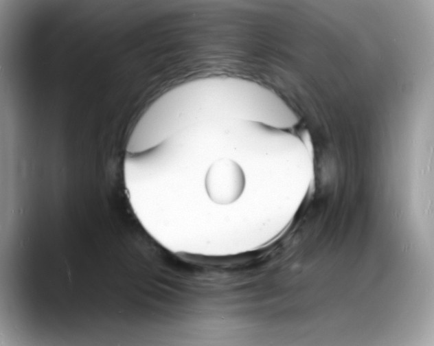 X0000088130276200706111413