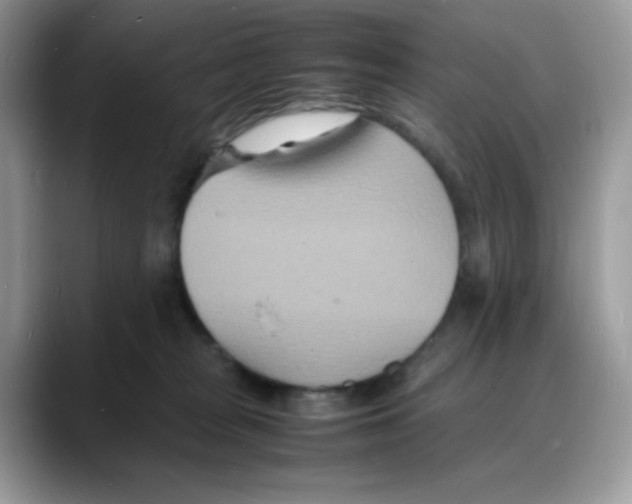 X0000088130277200706111413