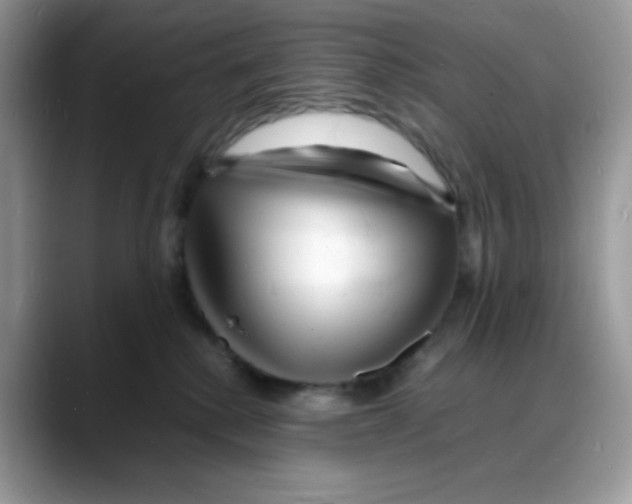 X0000088130280200706111413