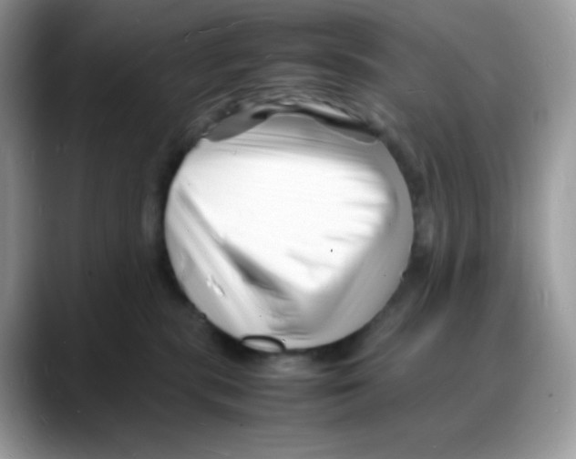 X0000088130283200706111413