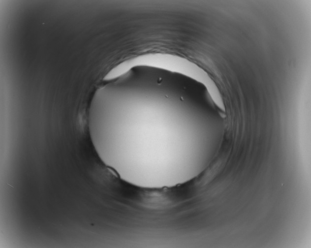 X0000088130285200706111413