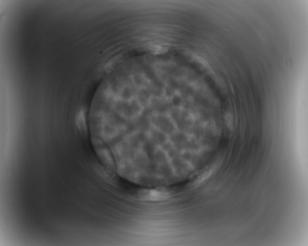 X0000088130286200706111413