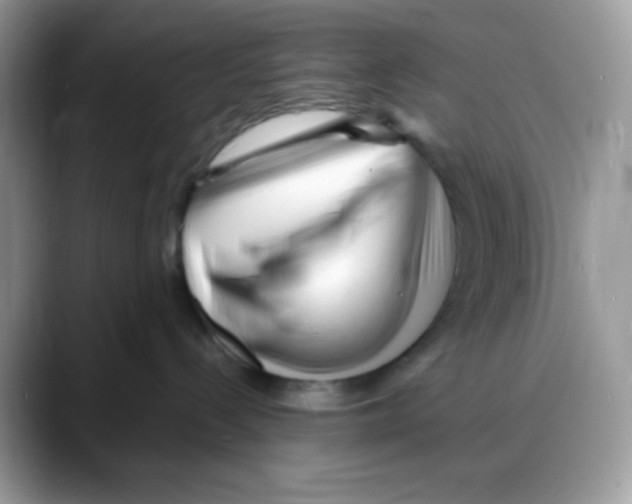 X0000088130288200706111413