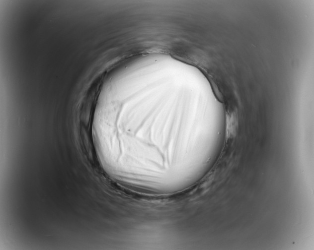 X0000088130291200706111412