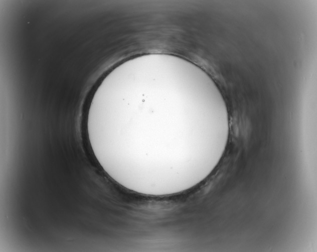 X0000088130292200706111412