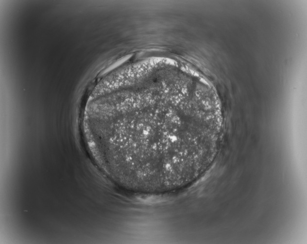 X0000088130293200706111412