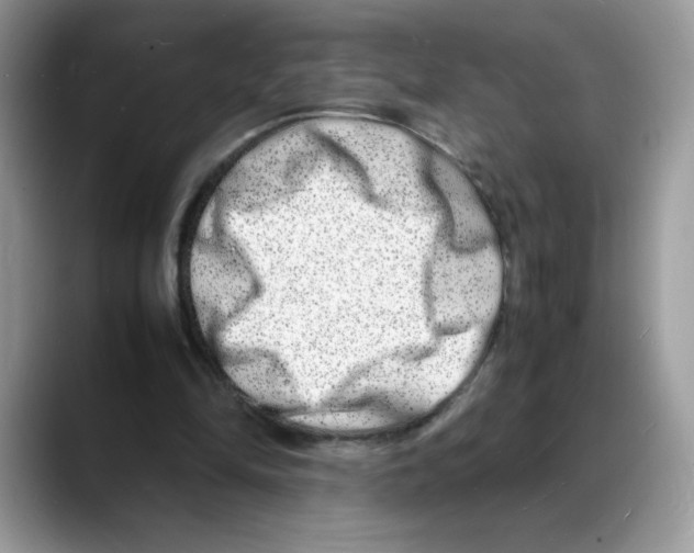 X0000088130294200706111412