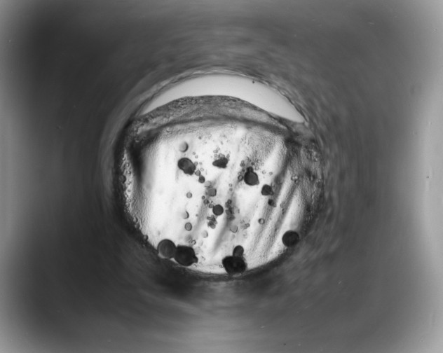 X0000088130295200706111412