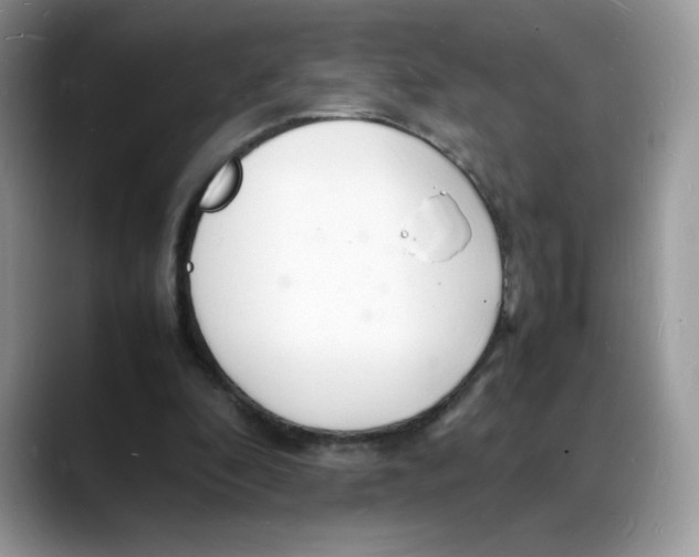 X0000088130296200706111412