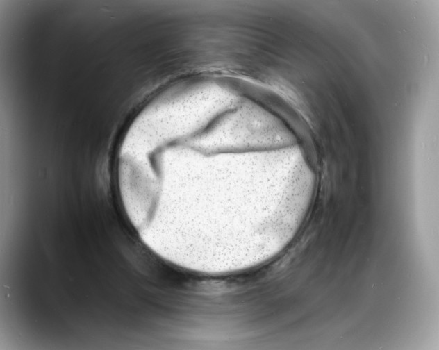 X0000088130298200706111412