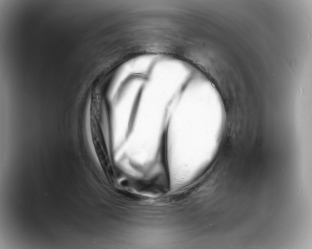 X0000088130299200706111412