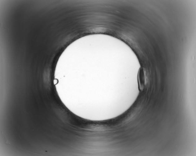 X0000088130300200706111412