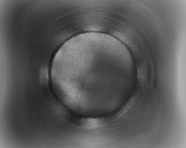 X0000088130302200706111412