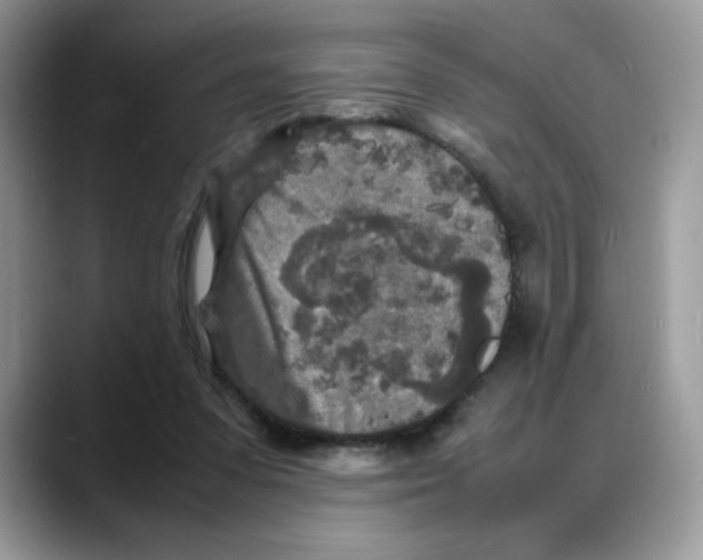 X0000088130303200706111412