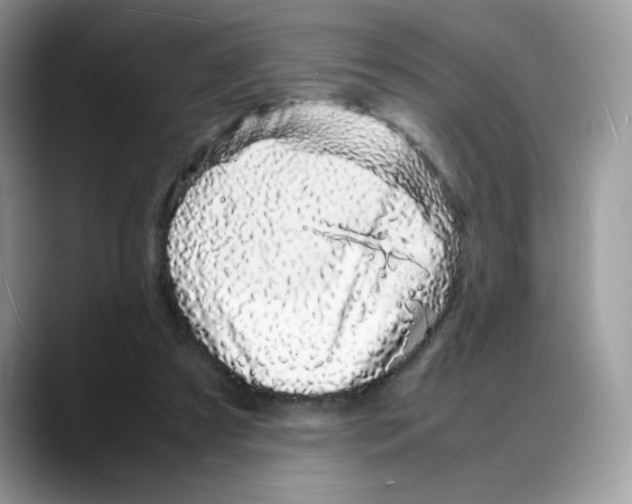 X0000088130305200706111412