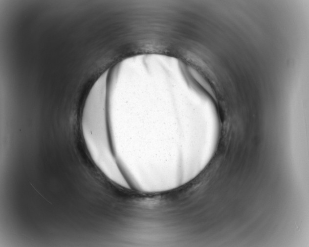 X0000088130306200706111412