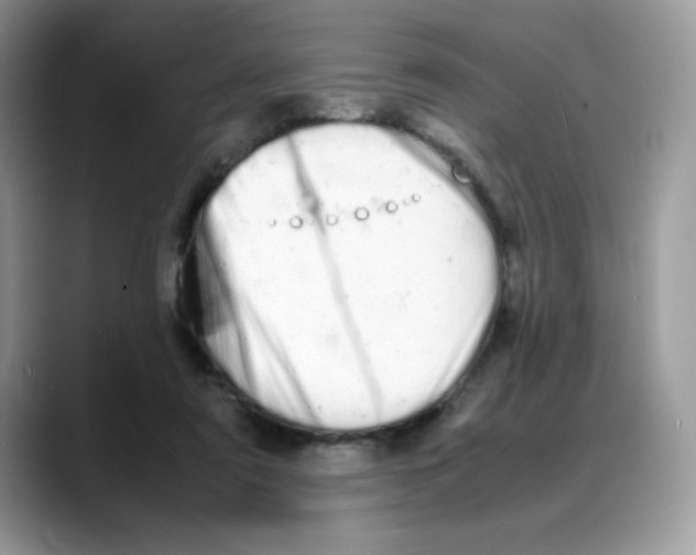 X0000088130307200706111412