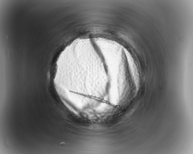 X0000088130309200706111412