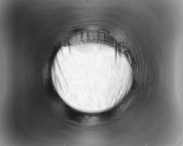 X0000088130311200706111412