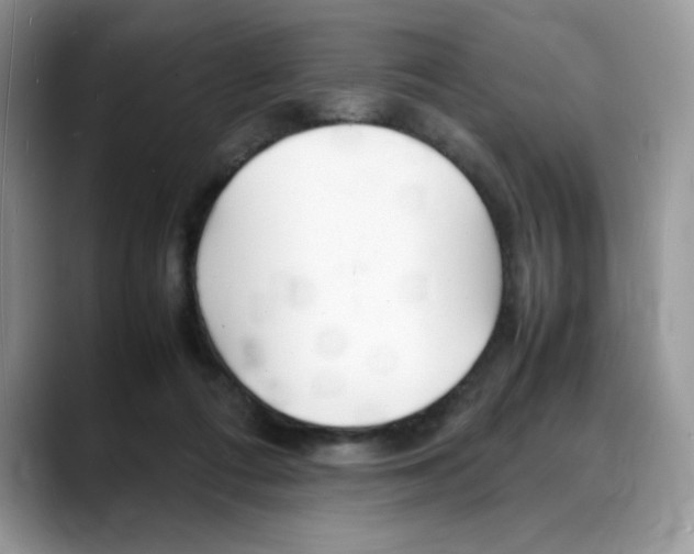 X0000088130312200706111412