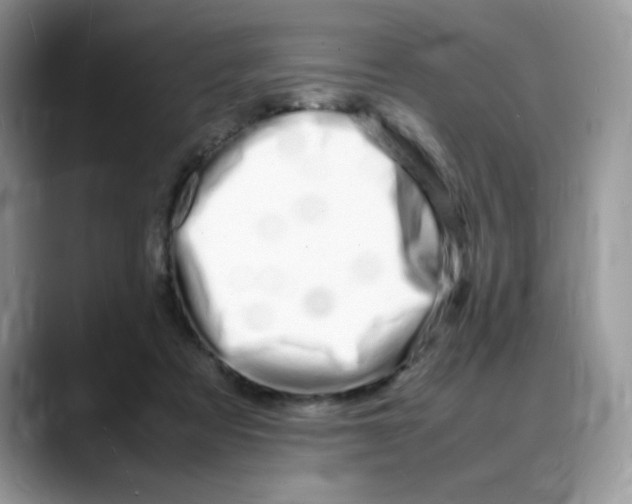 X0000088130313200706111412